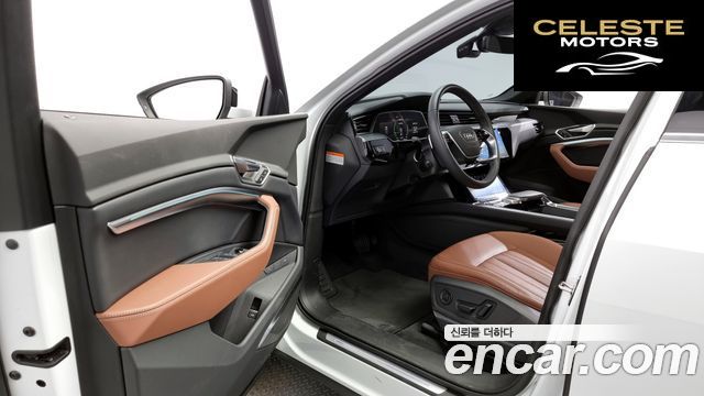 AUDI Q8 e-(GE) 55 Quattro 2024 — photo 10 sur 20