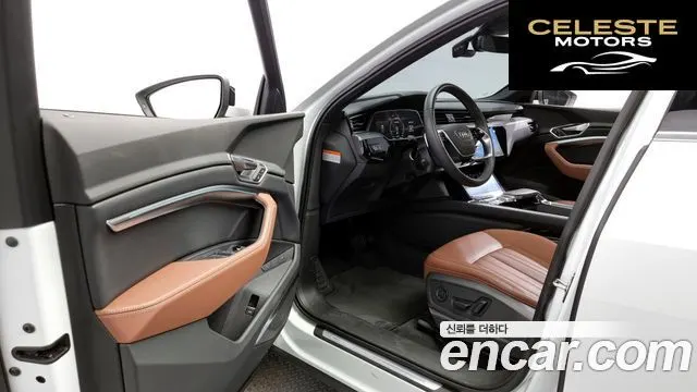 AUDI Q8 e-(GE) 55 Quattro 2024 — photo 10 sur 20