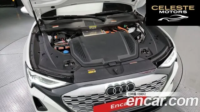 AUDI Q8 e-(GE) 55 Quattro 2024 — photo 6 sur 20