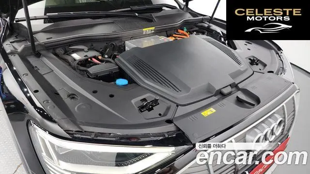 AUDI e-55 Quattro 2020 — photo 6 sur 20