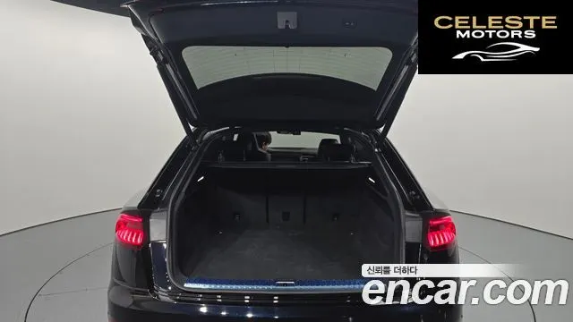 AUDI Q8 (4M) 50 TDI Quattro Premium 2020 — photo 20 sur 20