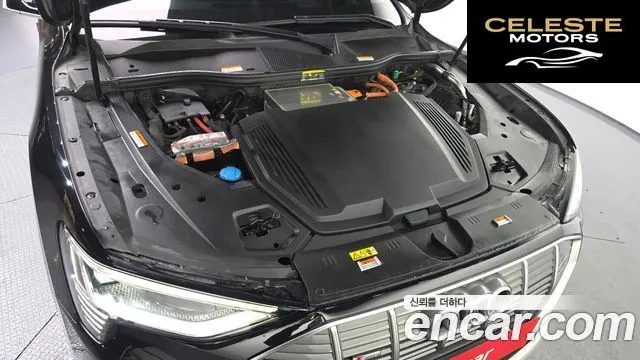 AUDI e-55 Quattro Sportback 2021 — photo 6 sur 26