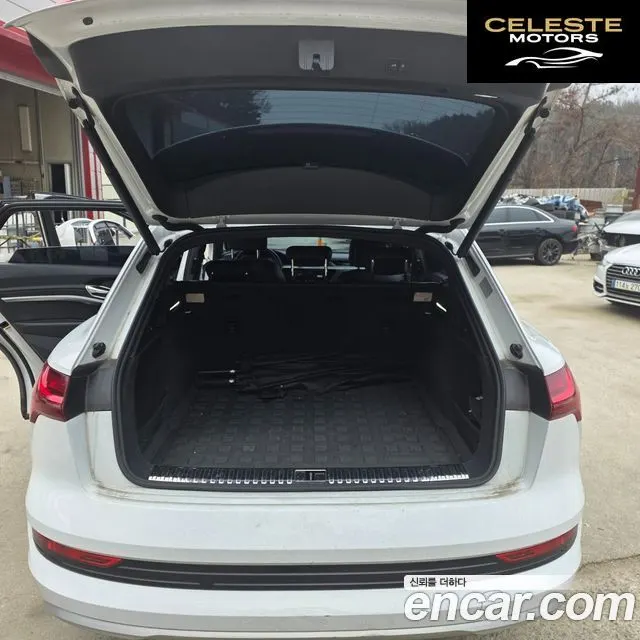 AUDI e-55 Quattro 2020 — photo 15 sur 25