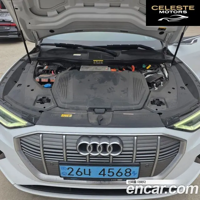 AUDI e-55 Quattro 2020 — photo 19 sur 25