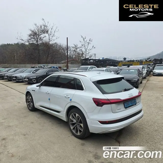 AUDI e-55 Quattro 2020 — photo 3 sur 25