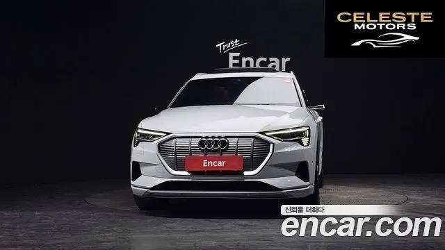 AUDI e-55 Quattro 2020 — photo 3 sur 26