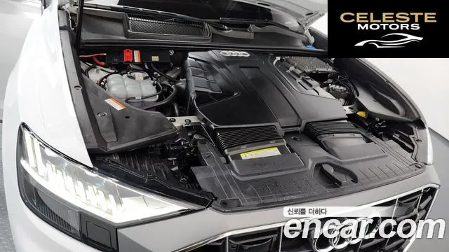 AUDI Q8 (4M) 50 TDI Quattro Premium 2021 — photo 6 sur 20