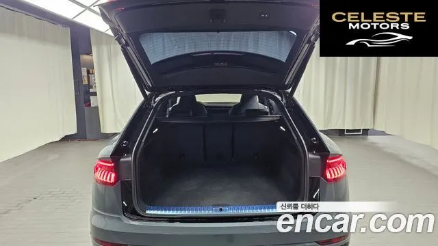 AUDI Q8 (4M) 55 TFSI Quattro Premium 2023 — photo 20 sur 20