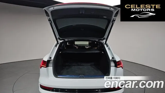 AUDI e-55 Quattro 2020 — photo 19 sur 20