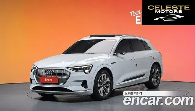 AUDI e-55 Quattro 2020 — photo 20 sur 20