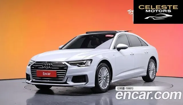 AUDI A6 (C8) 45 TFSI Premium 2020 — photo 31 sur 31