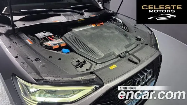 AUDI e-55 Quattro 2020 — photo 6 sur 39