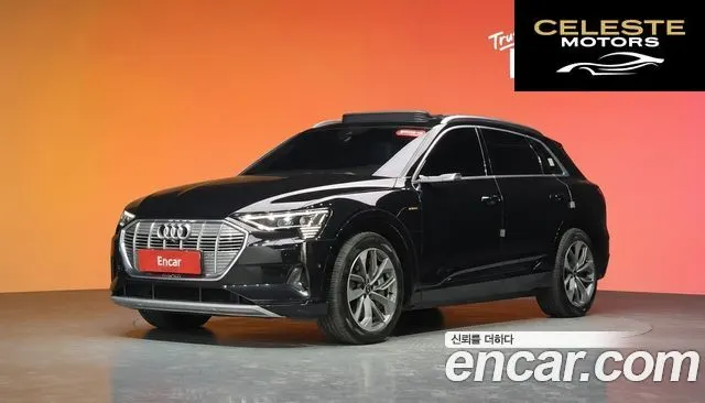 AUDI e-55 Quattro 2022 — photo 31 sur 37
