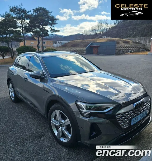 AUDI Q8 e-(GE) 50 Quattro 2024 — photo 8 sur 10