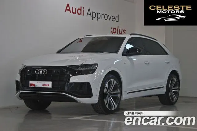 AUDI Q8 (4M) 55 TFSI Quattro Premium 2023 — photo 23 sur 26