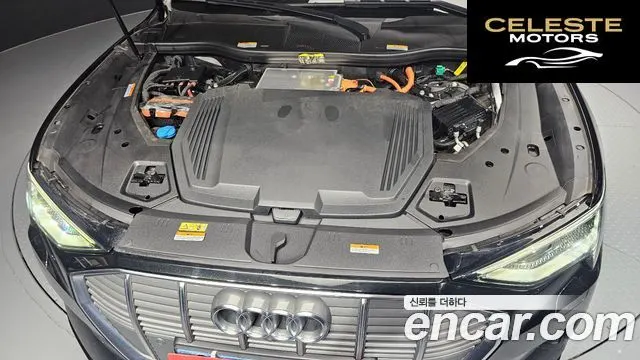 AUDI e-55 Quattro 2020 — photo 6 sur 20