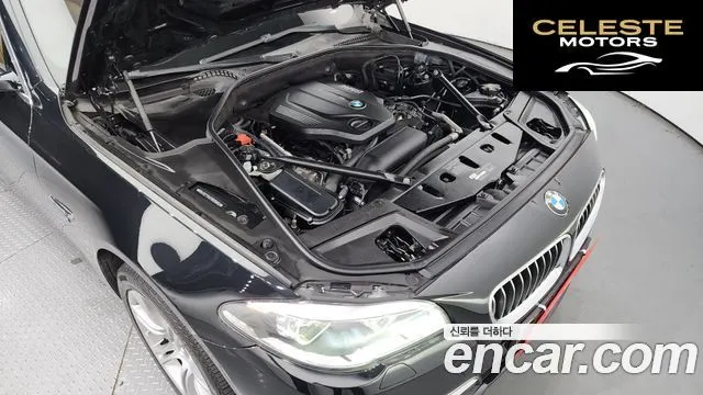 BMW Série 5 (F10) 520d xDrive Luxury 2015 — photo 6 sur 20