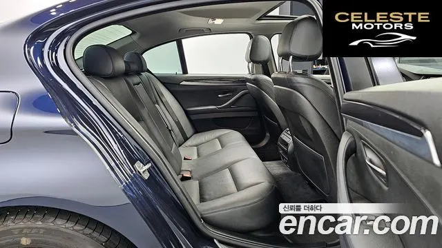 BMW Série 5 (F10) 520d 2015 — photo 12 sur 20