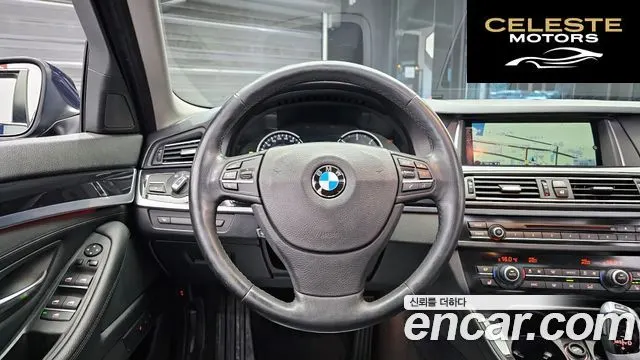 BMW Série 5 (F10) 520d 2015 — photo 13 sur 20