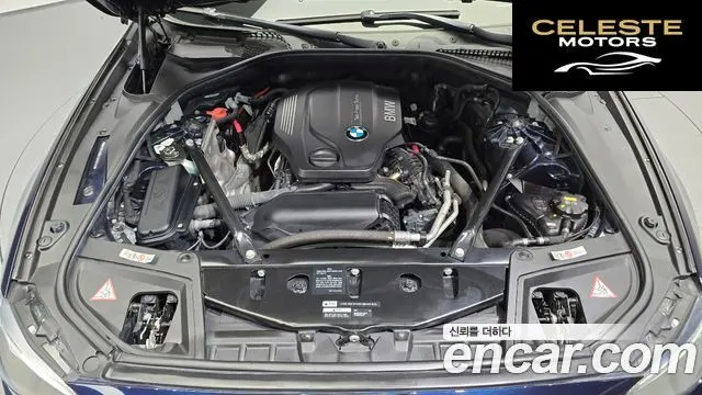 BMW Série 5 (F10) 520d 2015 — photo 6 sur 20