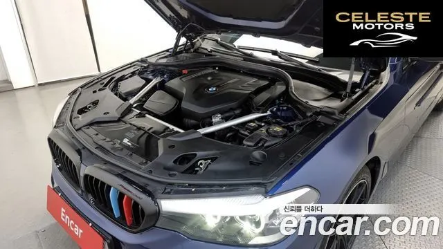 BMW Série 5 (G30) 520i Luxury 2018 — photo 6 sur 20