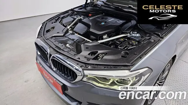 BMW Série 5 (G30) 530i M Sport Plus 2019 — photo 6 sur 20