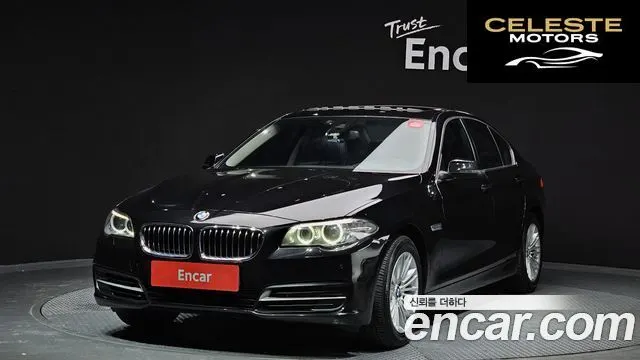 BMW Série 5 (F10) 520d 2015 — photo 23 sur 26