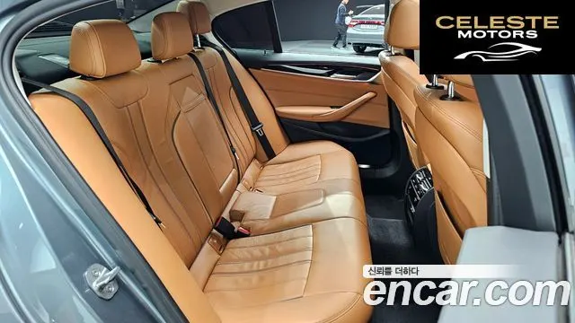 BMW Série 5 (G30) 520d Luxury Spécial Edition 2018 — photo 12 sur 20