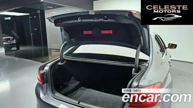 BMW Série 5 (G30) 520d Luxury Spécial Edition 2018 — photo 20 sur 20