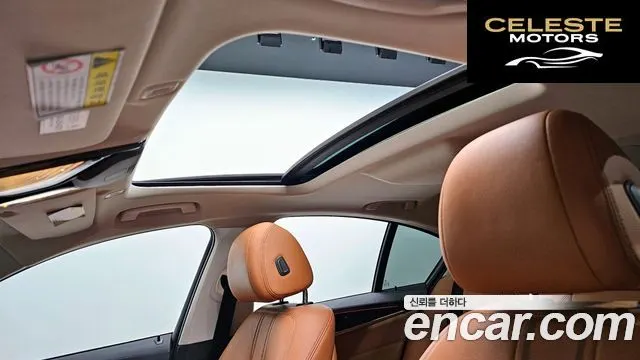 BMW Série 5 (G30) 520d Luxury Spécial Edition 2018 — photo 19 sur 20