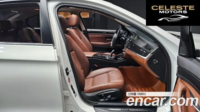 BMW Série 5 (F10) 520d xDrive 2015 — photo 10 sur 20