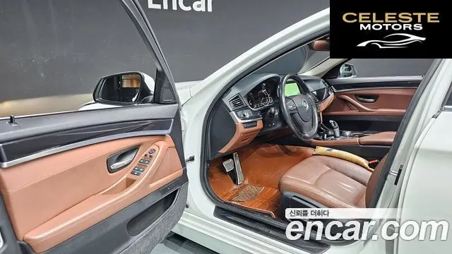 BMW Série 5 (F10) 520d xDrive 2015 — photo 11 sur 20