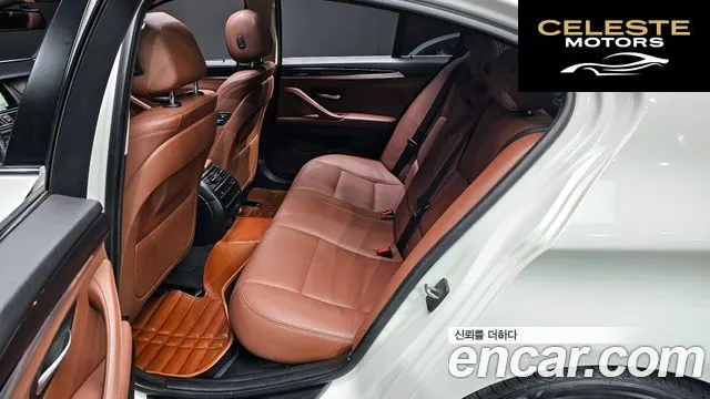 BMW Série 5 (F10) 520d xDrive 2015 — photo 12 sur 20