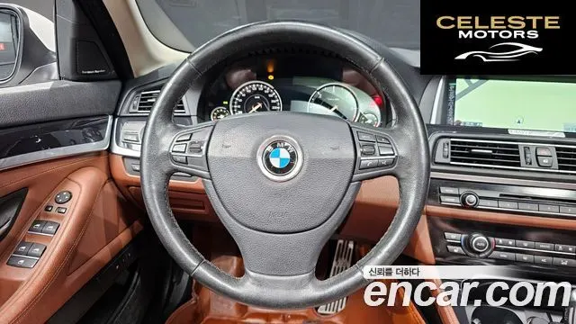 BMW Série 5 (F10) 520d xDrive 2015 — photo 13 sur 20