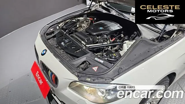 BMW Série 5 (F10) 520d xDrive 2015 — photo 6 sur 20