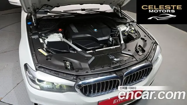 BMW Série 5 (G30) 520i Luxury 2018 — photo 6 sur 20