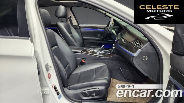 BMW Série 5 (F10) 520d Luxury 2014 — photo 11 sur 20