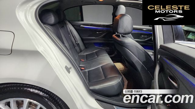 BMW Série 5 (F10) 520d Luxury 2014 — photo 12 sur 20