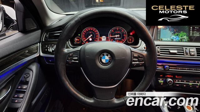 BMW Série 5 (F10) 520d Luxury 2014 — photo 13 sur 20