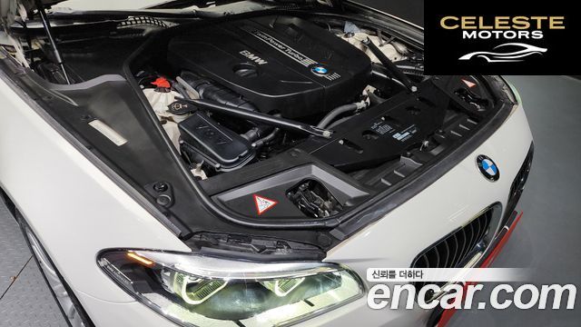 BMW Série 5 (F10) 520d Luxury 2014 — photo 6 sur 20