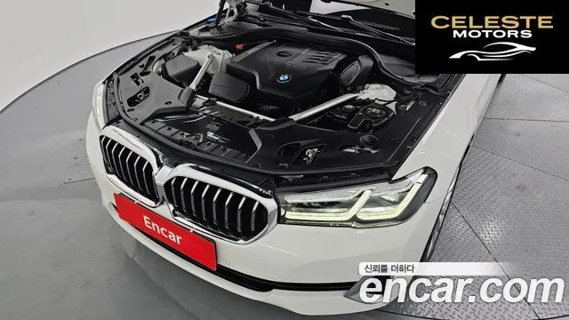 BMW Série 5 (G30) 530i Luxury 2021 — photo 6 sur 20