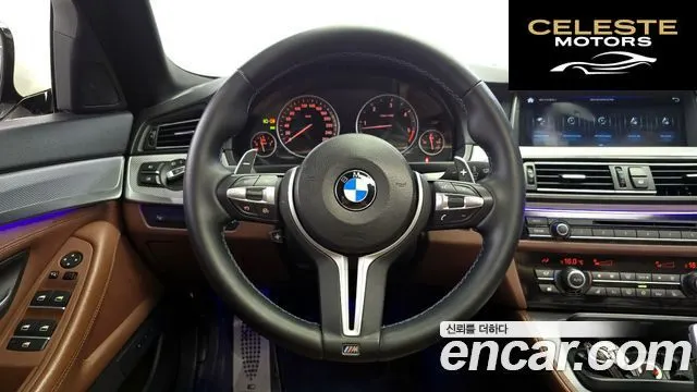 BMW Série 5 (F10) 535d 2011 — photo 13 sur 20