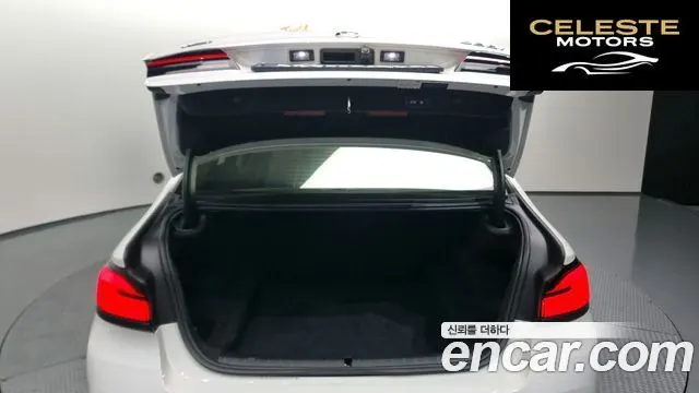 BMW Série 5 (G30) 530i xDrive Luxury 2021 — photo 20 sur 20