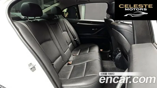 BMW Série 5 (F10) 520d xDrive 2014 — photo 12 sur 20