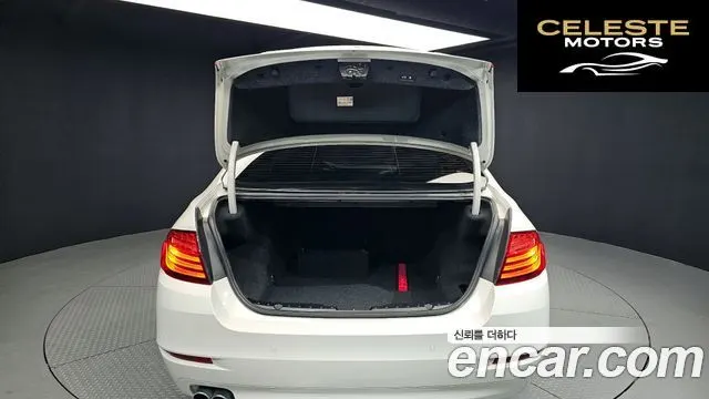 BMW Série 5 (F10) 520d xDrive 2014 — photo 20 sur 20
