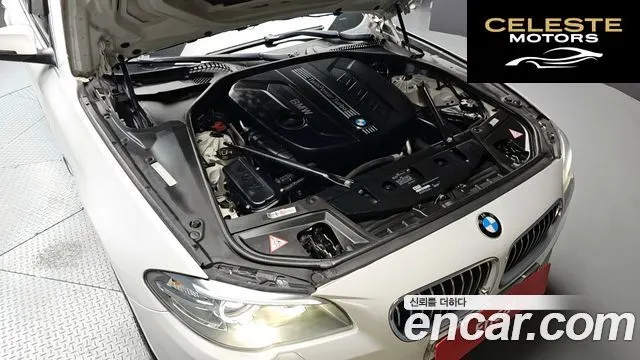 BMW Série 5 (F10) 520d xDrive 2014 — photo 6 sur 20