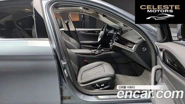 BMW Série 5 (G30) 520i Luxury 2019 — photo 11 sur 26