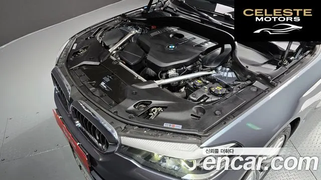 BMW Série 5 (G30) 520i Luxury 2019 — photo 6 sur 26
