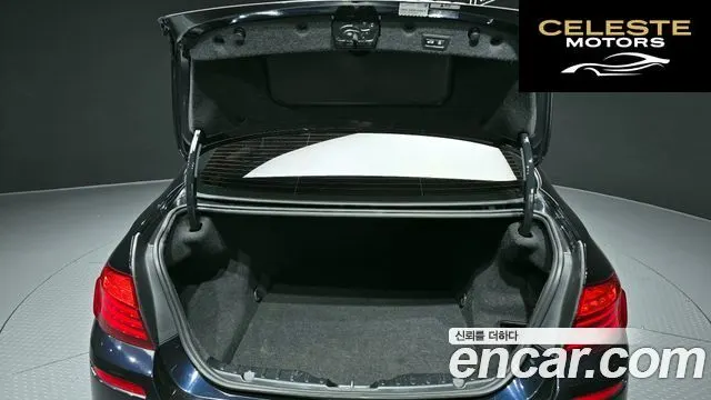 BMW Série 5 (F10) 520d M Aéro Dynamic 2016 — photo 20 sur 20