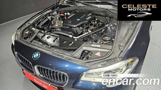 BMW Série 5 (F10) 520d M Aéro Dynamic 2016 — photo 6 sur 20
